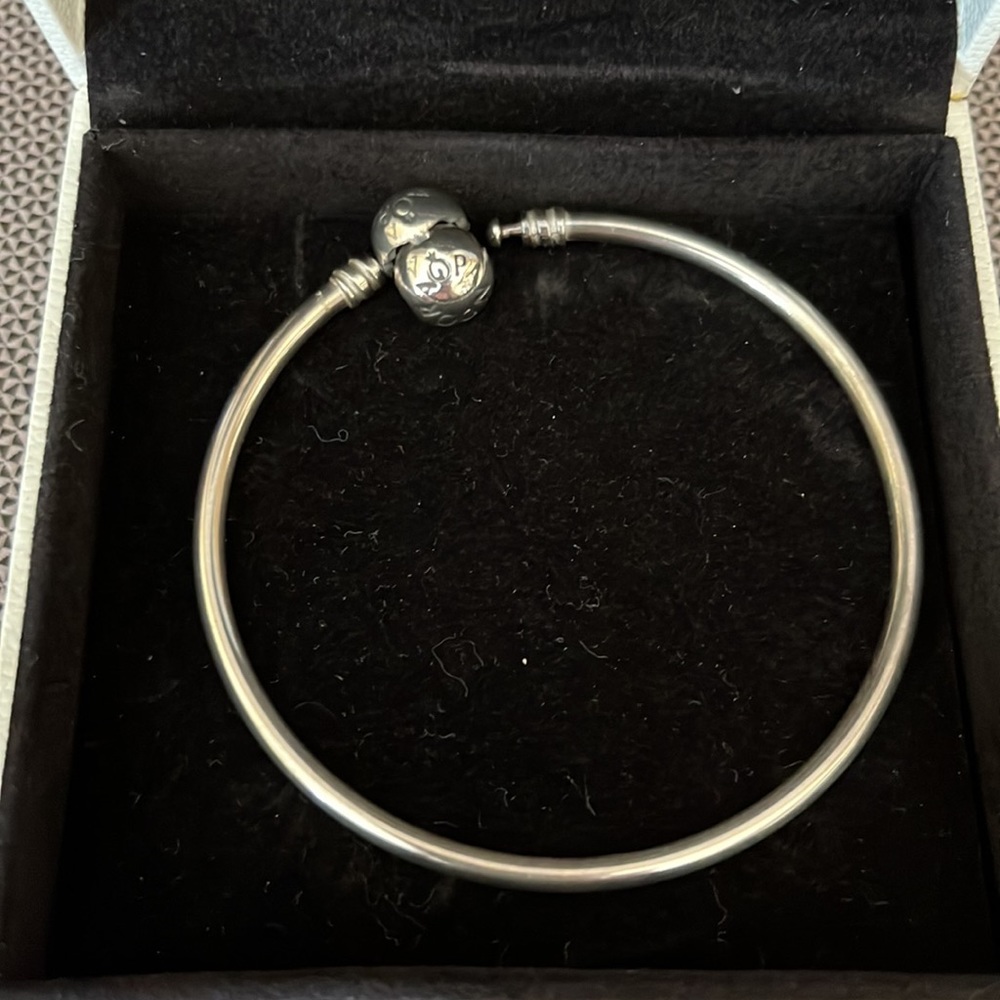 7.5” pandora moments bangle